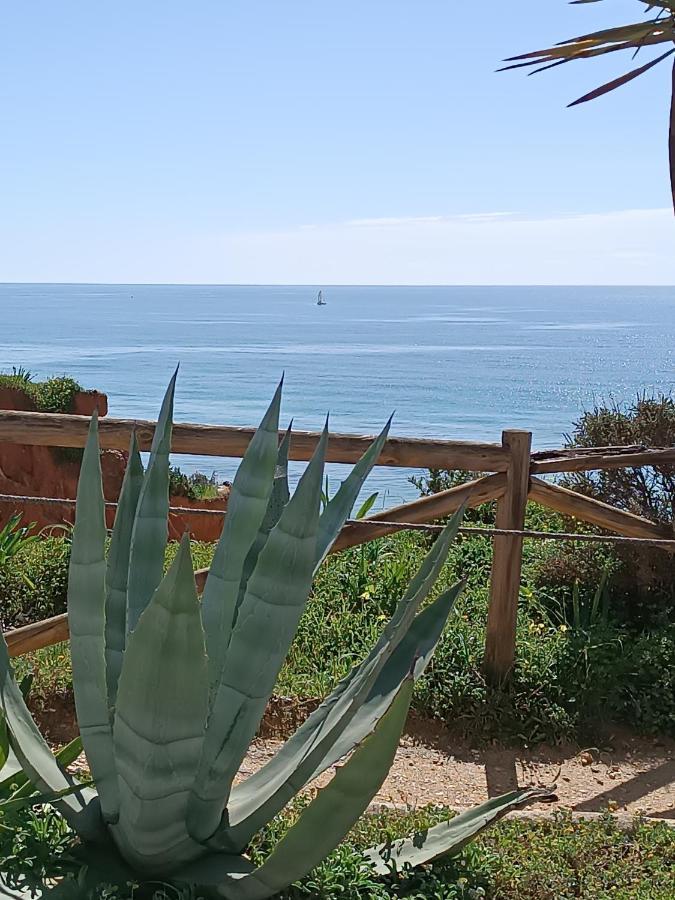 פורטימאו Mar A Vista Algarve Summer מראה חיצוני תמונה
